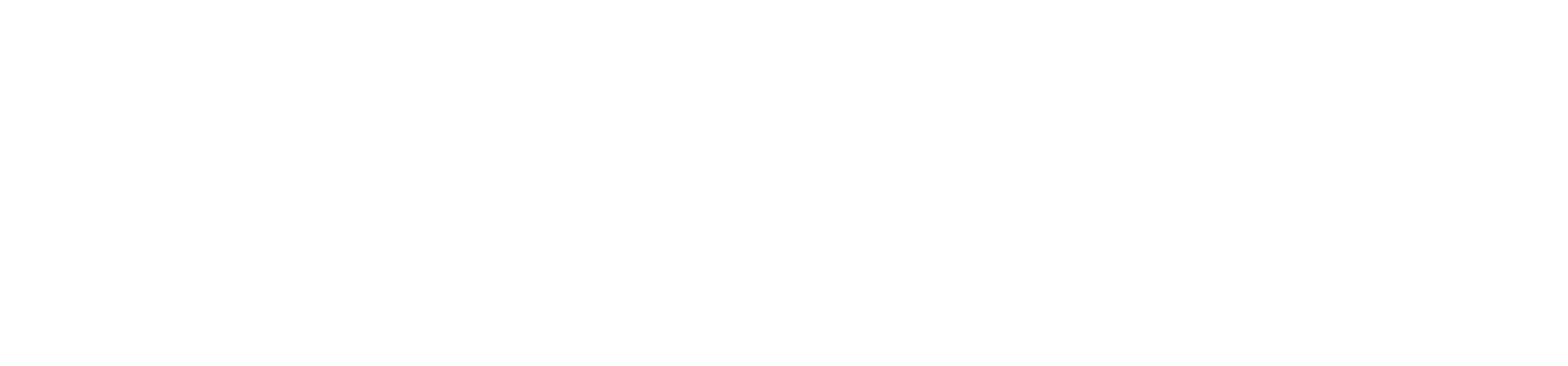 Fundación VASS